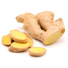 Top Quality New Fresh Dehydrated Ginger to USA Market Without Pesticide